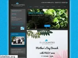 Sites similar to bluecilantrocayman.com