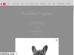 Sites similar to bluecoatfrenchbulldogs.com
