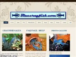 Sites similar to bluecrayfish.com