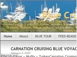Sites similar to bluecruise.wordpress.com