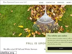 Sites similar to bluedyamondlawncare.com