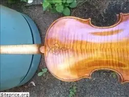 Sites similar to bluefiddles.com