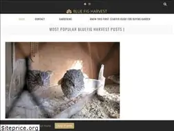 Sites similar to bluefigharvest.com