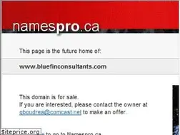 Sites similar to bluefinconsultants.com