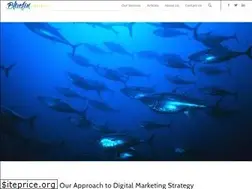 Sites similar to bluefinstrategy.com