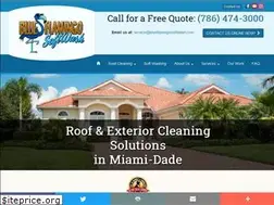 Sites similar to blueflamingosoftwash.com