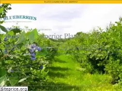 Sites similar to bluegrassblueberries.com