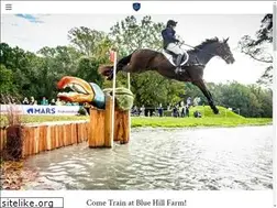 Sites similar to bluehillfarmpa.com