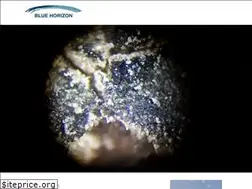 Sites similar to bluehorizon.space