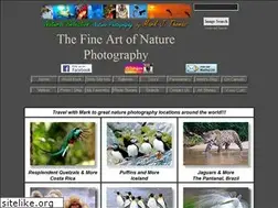 Sites similar to blueiceberg.com