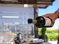 Sites similar to bluelagoongroup.com