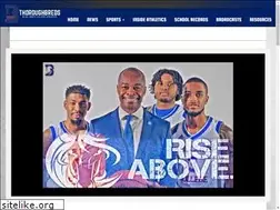 Sites similar to bluelightsthoroughbreds.com