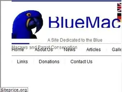 Sites similar to bluemacaws.org