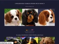 Sites similar to bluemagics.de