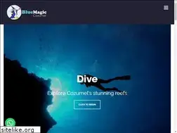 Sites similar to bluemagicscuba.com