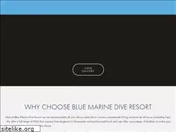 Sites similar to bluemarinedive.com