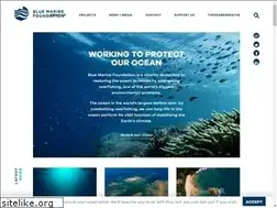 Sites similar to bluemarinefoundation.com