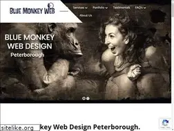 Sites similar to bluemonkeyweb.com