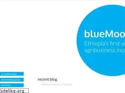 Sites similar to bluemoonethiopia.com