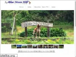 Sites similar to bluemoonhill.com