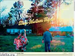 Sites similar to bluemothertupelo.com