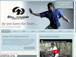 Sites similar to bluemountainma.com