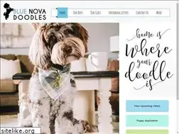Sites similar to bluenovadoodles.com