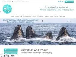 Sites similar to blueoceanwhalewatch.com