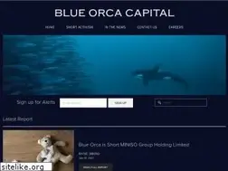 Sites similar to blueorcacapital.com