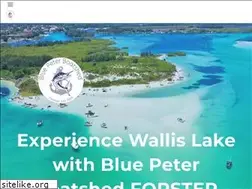 Sites similar to bluepeterboathire.com