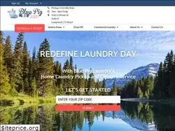 Sites similar to bluepiglaundry.com