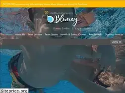 Sites similar to blueraymgmt.com