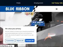 Sites similar to blueribbonauto.com