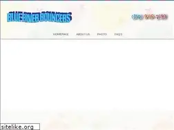 Sites similar to blueriverbouncers.com