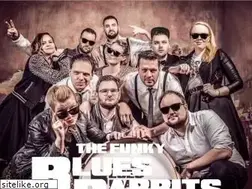Sites similar to bluesrabbits.de