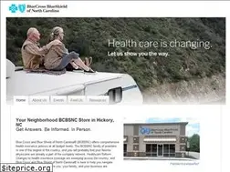 Sites similar to bluestorehickorync.com