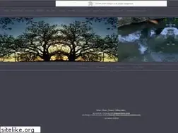 Sites similar to blueturtlemoonstudios.com