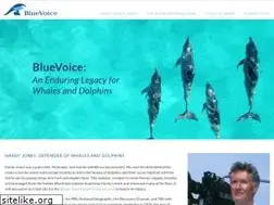 Sites similar to bluevoice.org