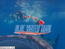 Sites similar to bluewatermaui.com