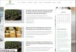 Sites similar to bluewaterpages.com