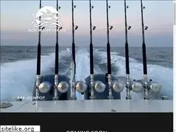 Sites similar to bluewatertackle.com