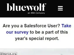 Sites similar to bluewolf.com