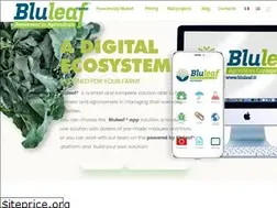 Sites similar to bluleaf.it