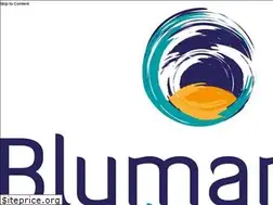 Sites similar to blumangocreative.com
