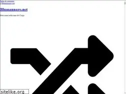 Sites similar to blumannaro.net