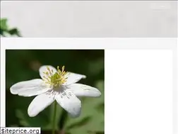 Sites similar to blume7.de