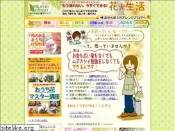 Sites similar to blumeleben.com