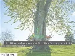 Sites similar to blumen-haeusler.de