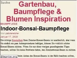 Sites similar to blumen-inspiration.de