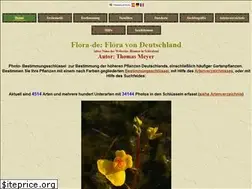 Sites similar to blumeninschwaben.de